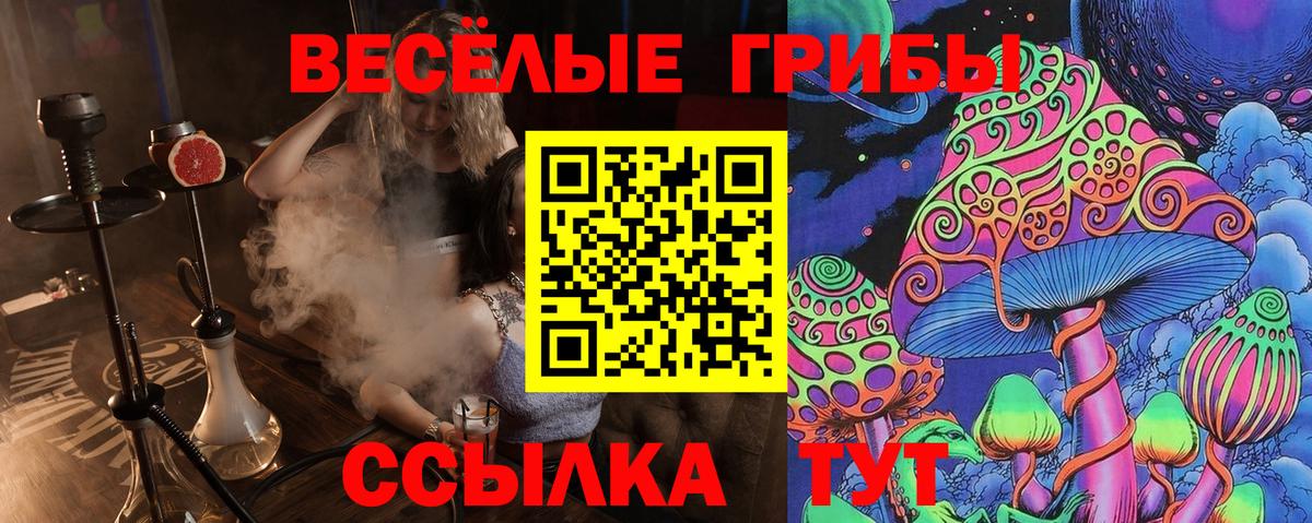 Галлюциногенные грибы Psilocybe Медногорск