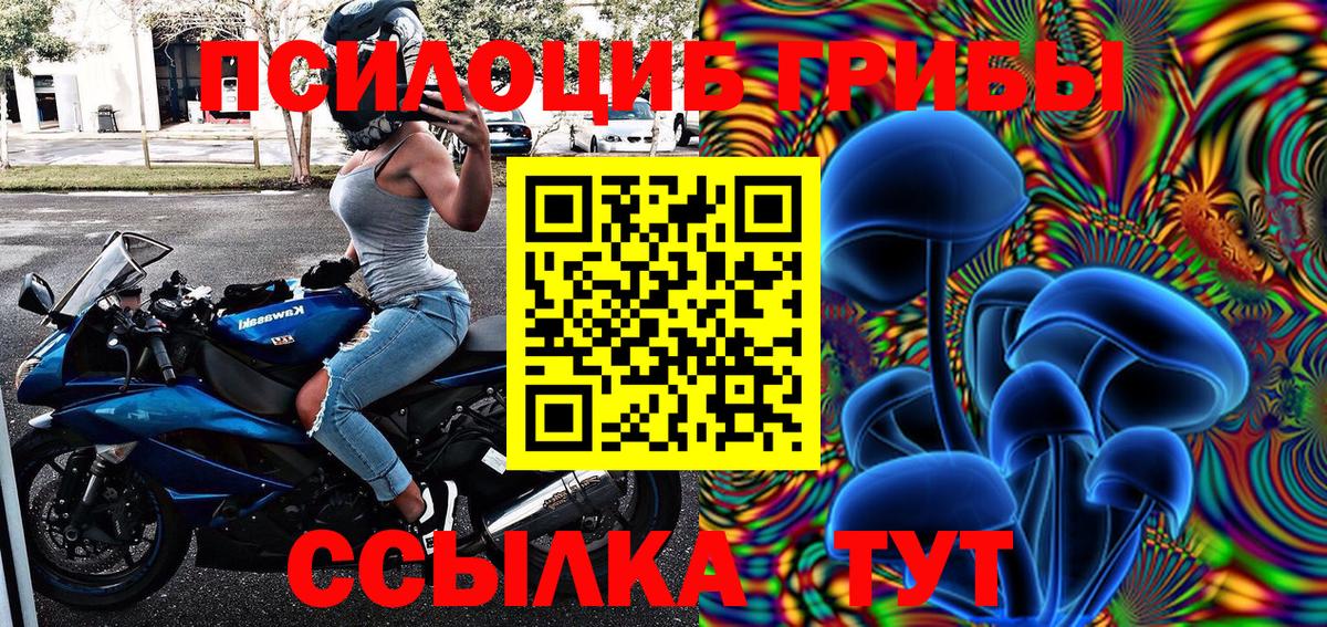 Медногорск  Псилоцибиновые грибы ЛСД  Вход с VPN 